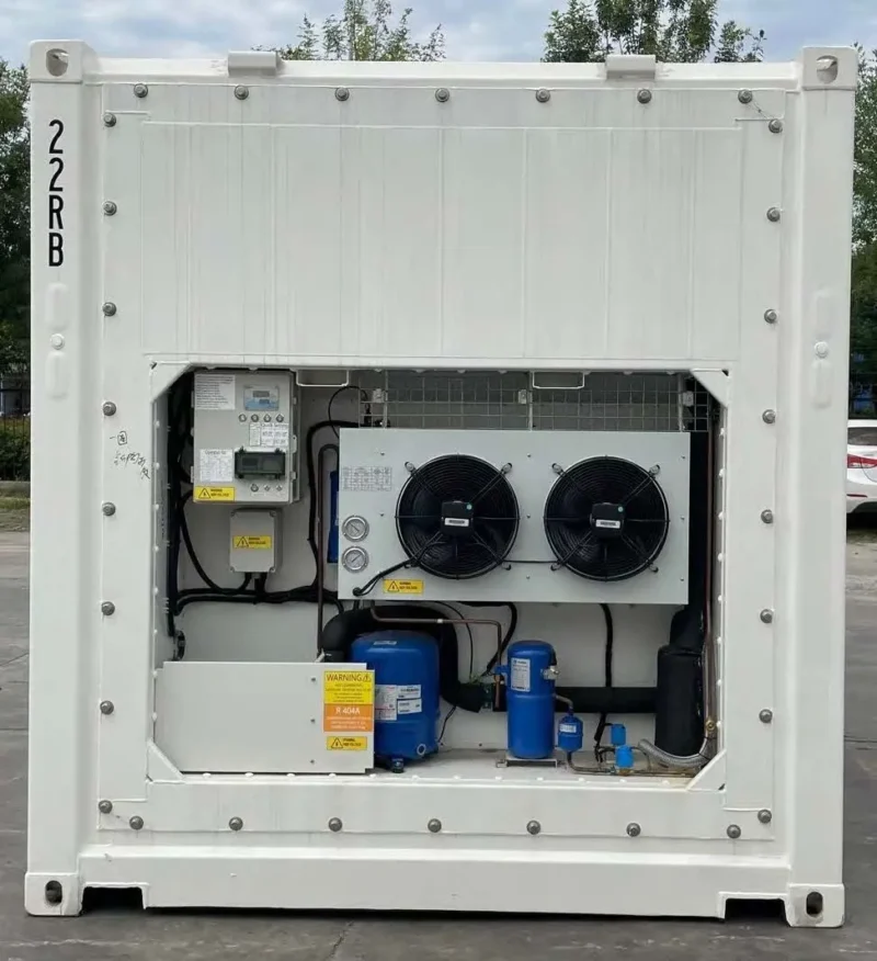 One Trip 20ft Refrigerated Single Phase Container for Static Cold Storage